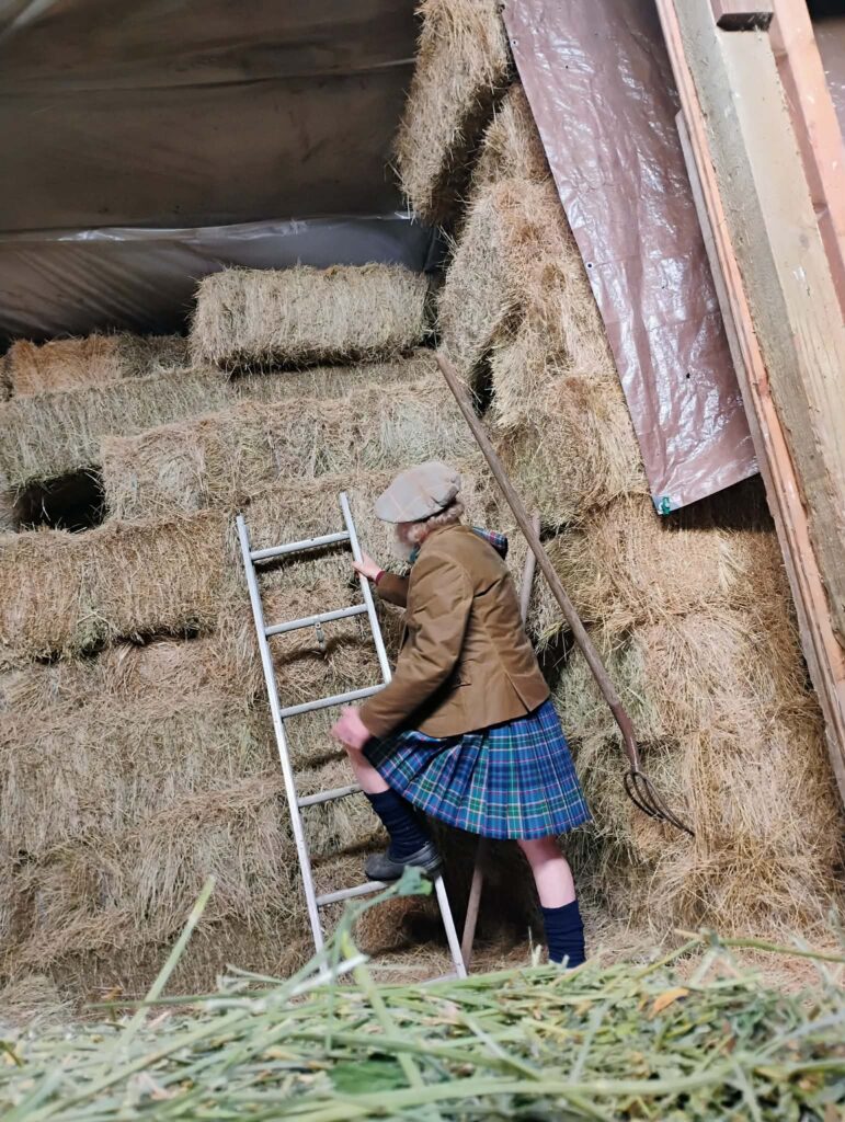 Box pleat kilts 1000008155